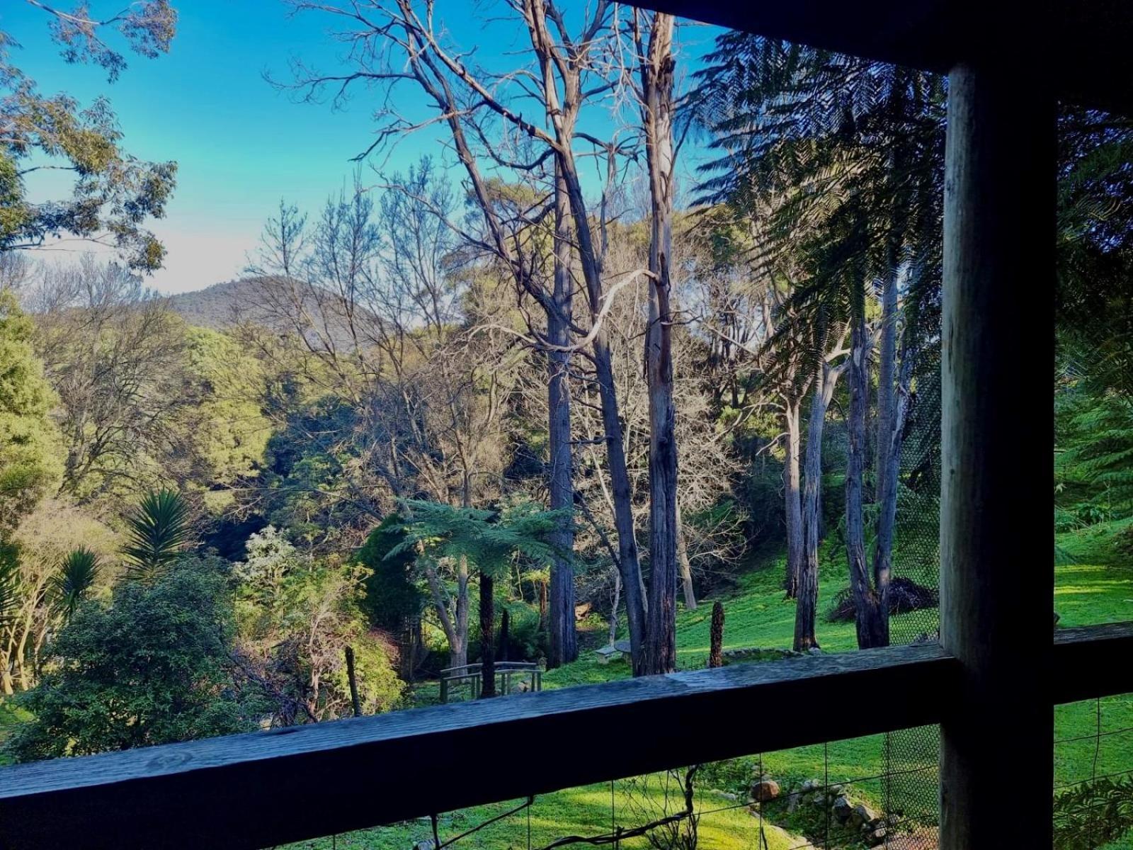 Forget Me Not Cottages Warburton Εξωτερικό φωτογραφία