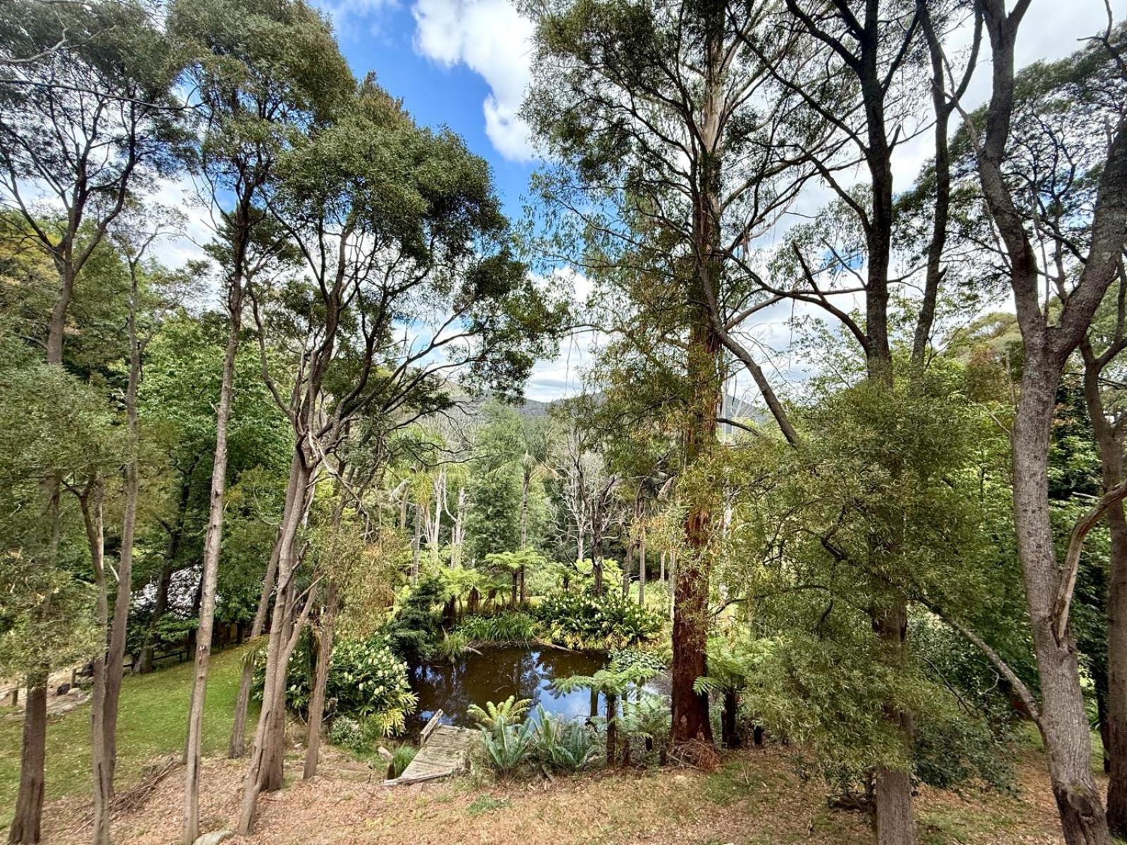 Forget Me Not Cottages Warburton Εξωτερικό φωτογραφία